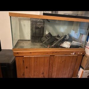 75 gallon saltwater and stand